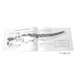 Klavier-Spiel-Schule Mit “Lilli” Und “Resa” Bd. 1 -Kinder Spaß Verkaufsgeschäft Klavier lernen 03