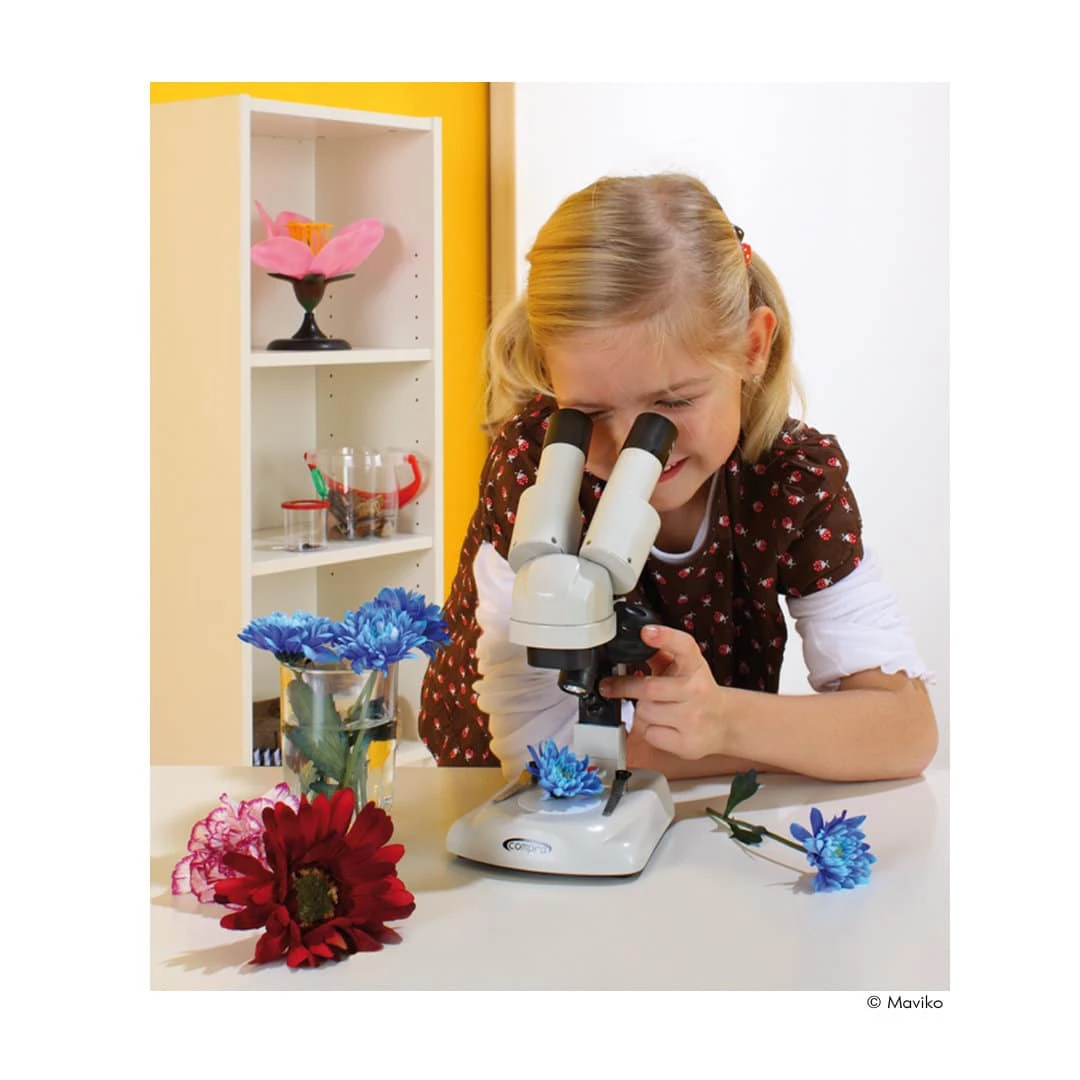 LED-Stereo-Mikroskop Für Einsteiger 2 LED-Stereo-Mikroskop Für Einsteiger – Bild 2