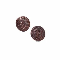 Expedition Natur Mini-Ausgrabungs-Set -Kinder Spaß Verkaufsgeschäft Moses Mini Ausgrabungs Sets Mineralien Fossilien Urzeittiere 05