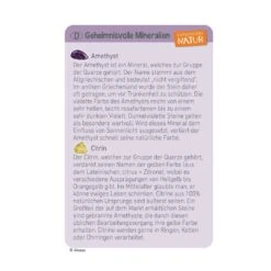 Expedition Natur Mini-Ausgrabungs-Set -Kinder Spaß Verkaufsgeschäft Moses Mini Ausgrabungs Sets Mineralien Fossilien Urzeittiere 08