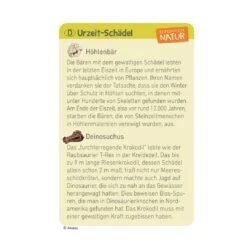 Expedition Natur Mini-Ausgrabungs-Set -Kinder Spaß Verkaufsgeschäft Moses Mini Ausgrabungs Sets Mineralien Fossilien Urzeittiere 09