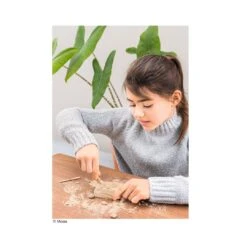 Expedition Natur Mini-Ausgrabungs-Set -Kinder Spaß Verkaufsgeschäft Moses Mini Ausgrabungs Sets Mineralien Fossilien Urzeittiere 12