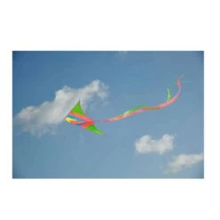 Moses Neon Taschen-Flugdrachen -Kinder Spaß Verkaufsgeschäft Moses Neon Taschen Flugdrachen 03