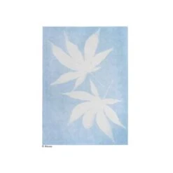 PhänoMINT Sonnendruck-Papier A5 -Kinder Spaß Verkaufsgeschäft Moses Phaenomint Sonnendruck Papier 02