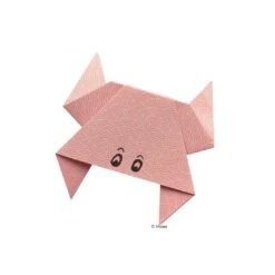 PhänoMINT Geogami -Kinder Spaß Verkaufsgeschäft Moses Verlag Phaenomint Experimente Geogami Faltkunst 05