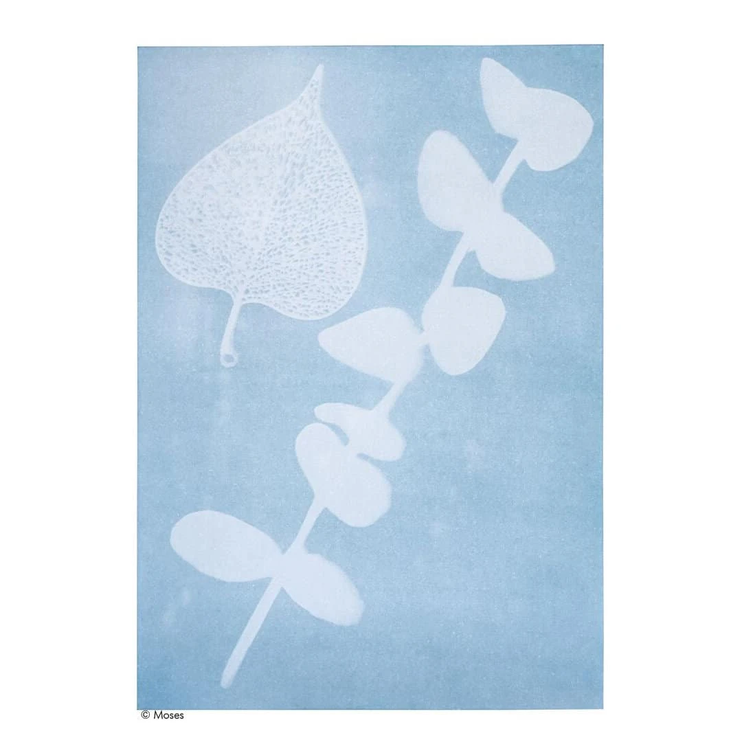 PhänoMINT Sonnendruck-Papier A4 Gross 2 PhänoMINT Sonnendruck-Papier A4 Gross – Bild 2