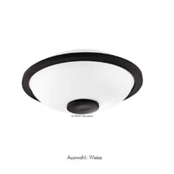 NINO Mini Steel Tongue Drum -Kinder Spaß Verkaufsgeschäft NINO Percussion Mini Steel Tongue Drum C pentatonisch NINO980 04