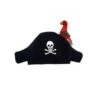 Piratenhut Mit Papagei Und Augenklappe