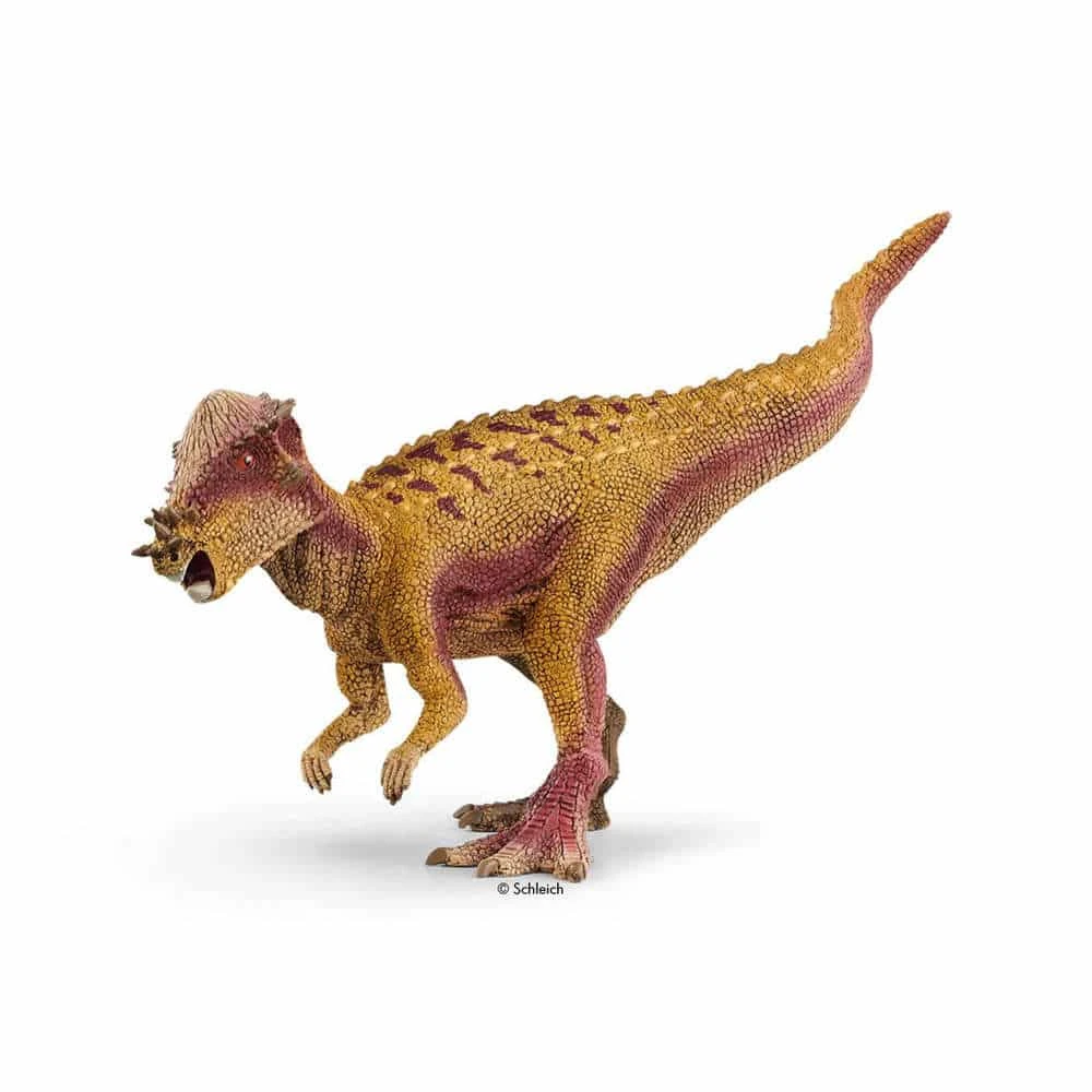 Schleich Dinosaurier Pachycephalosaurus 1 Schleich Dinosaurier Pachycephalosaurus