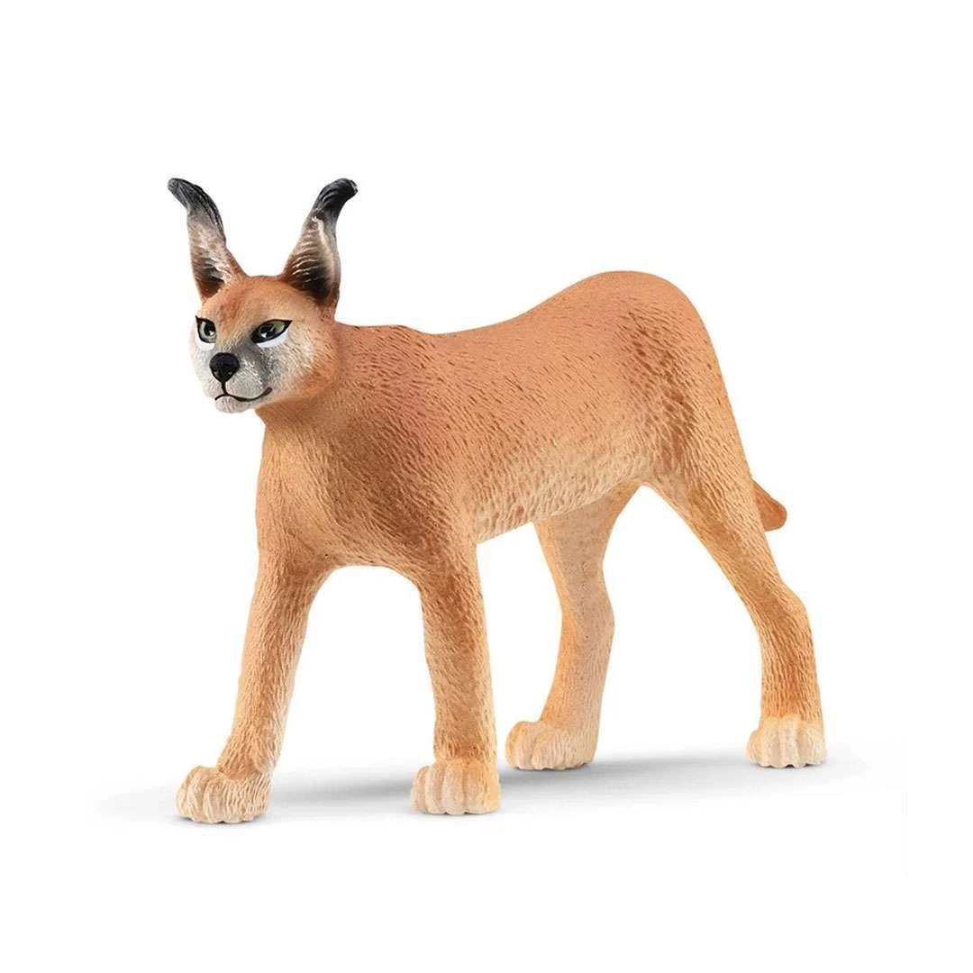 Schleich Karakal Weibchen 1 Schleich Karakal Weibchen