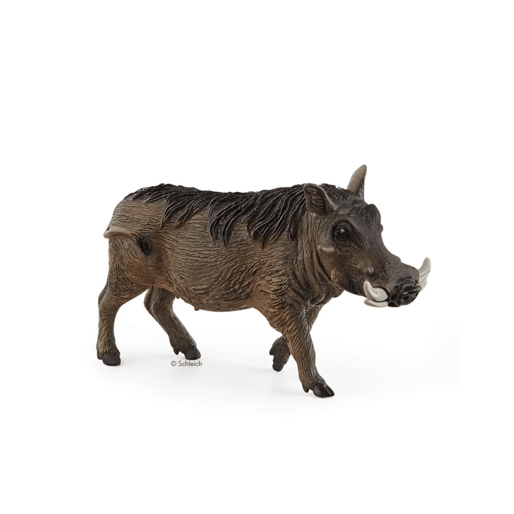 Schleich Warzenschwein 1 Schleich Warzenschwein